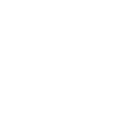DH Logo